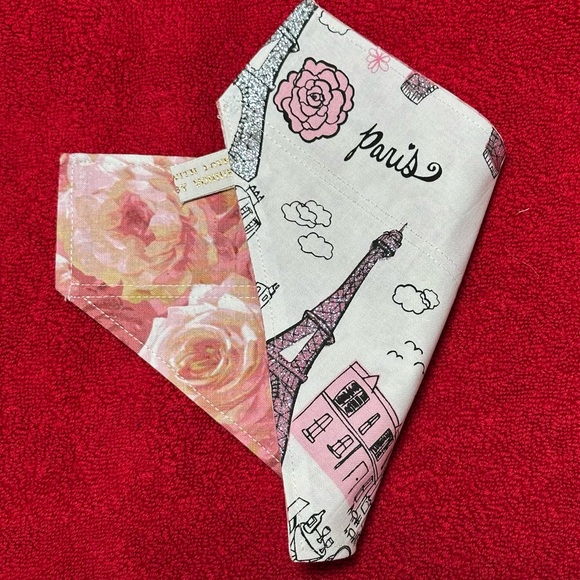 Handmade Stylish Pet Critter Capes - Picture 14 of 16